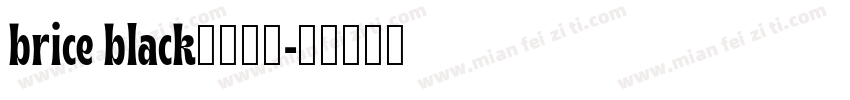brice black字体下载字体转换
